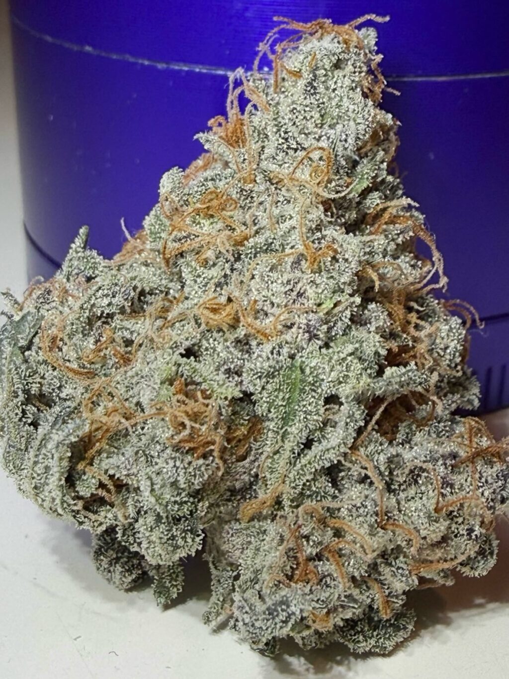 Instagram post from growcast. This post is in position 5.