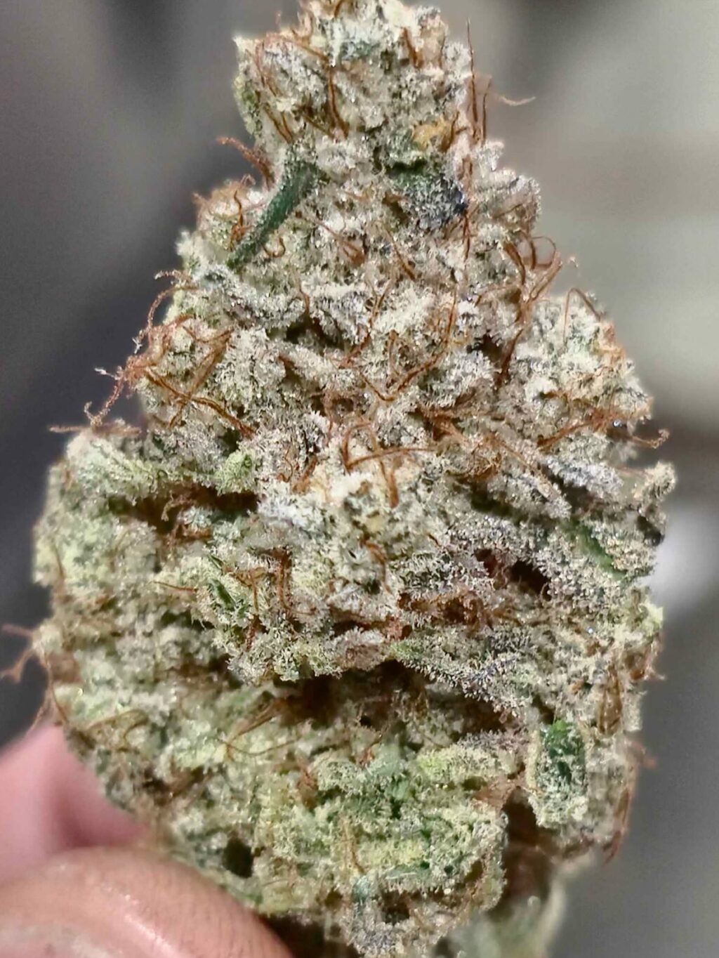 Instagram post from growcast. This post is in position 6.