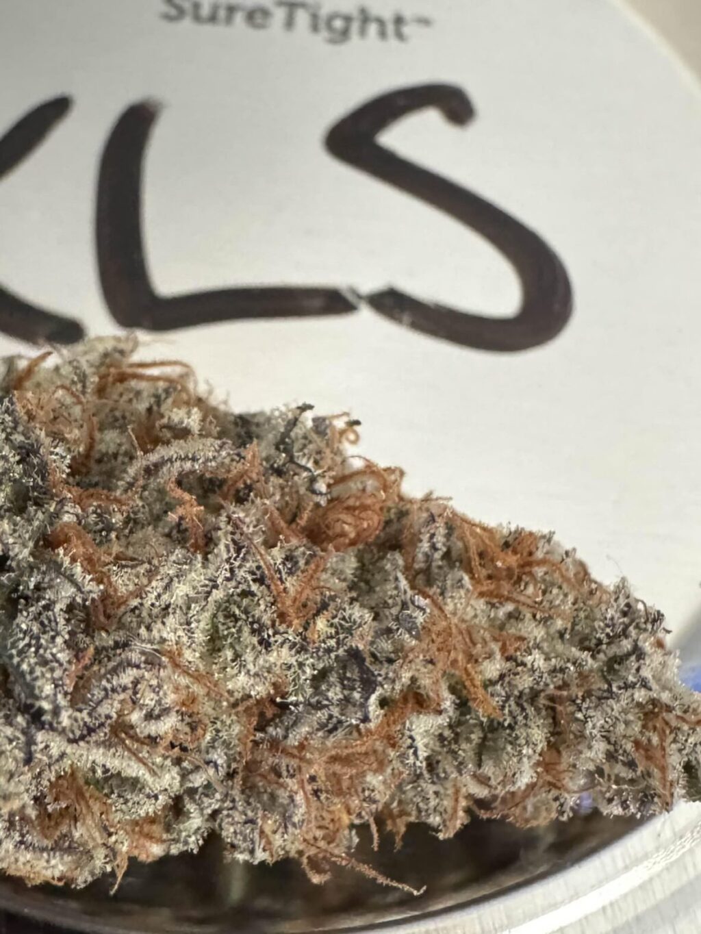 Instagram post from growcast. This post is in position 4.