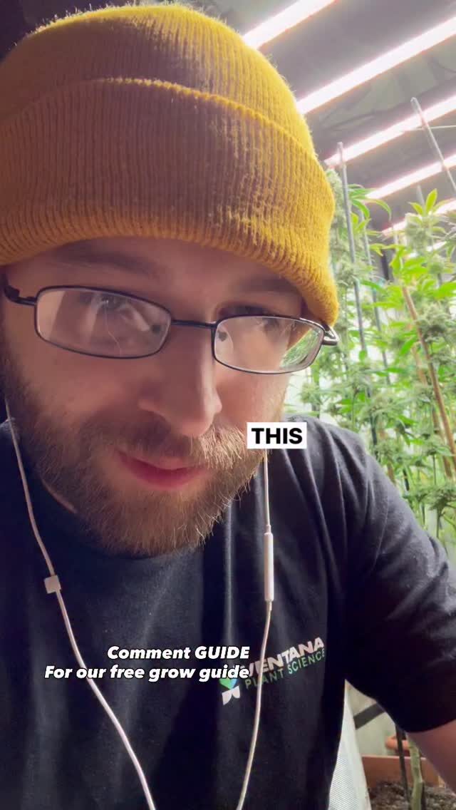 Instagram post from growcast. This post is in position 1.