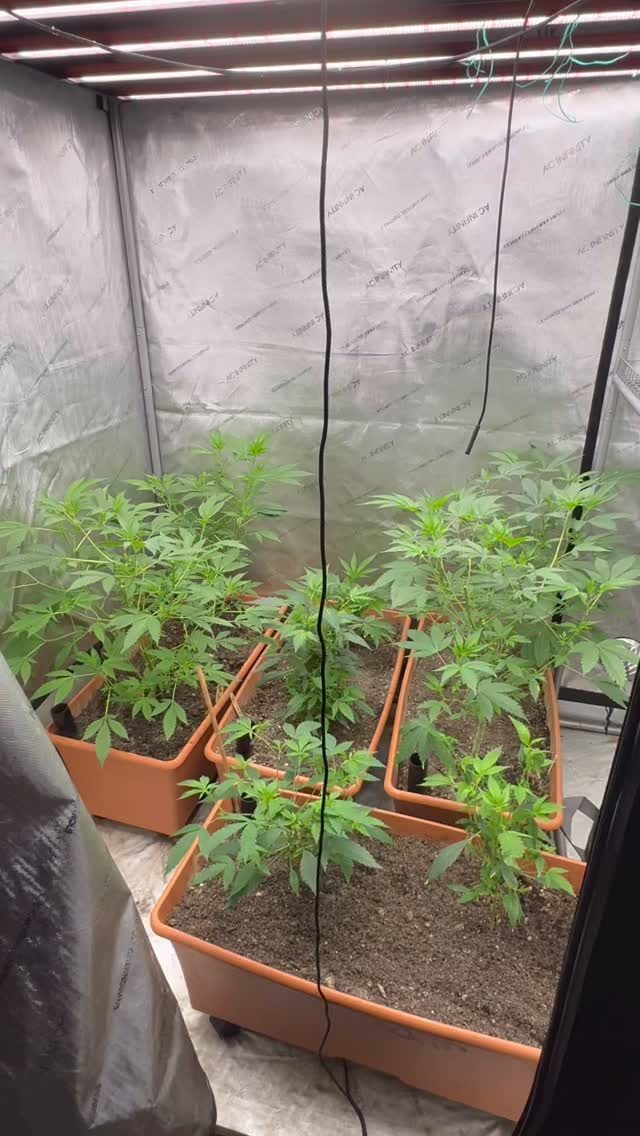 Instagram post from growcast. This post is in position 1.