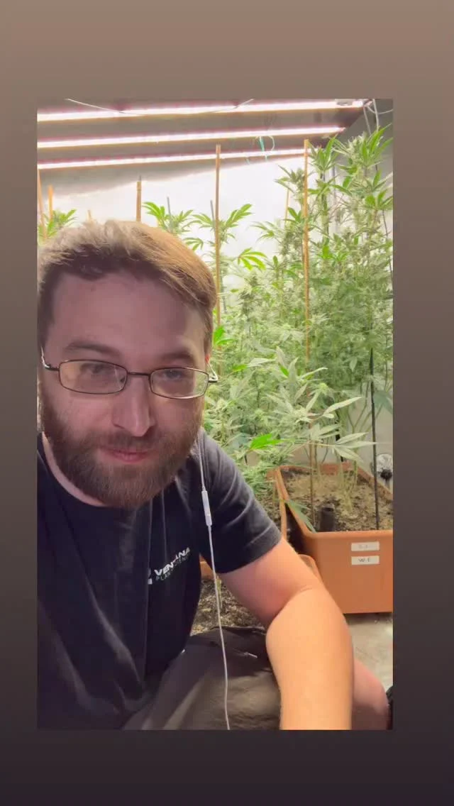 Instagram post from growcast. This post is in position 0.