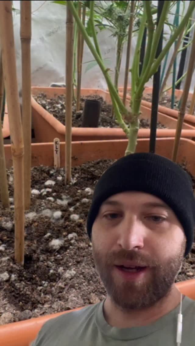 Instagram post from growcast. This post is in position 1.