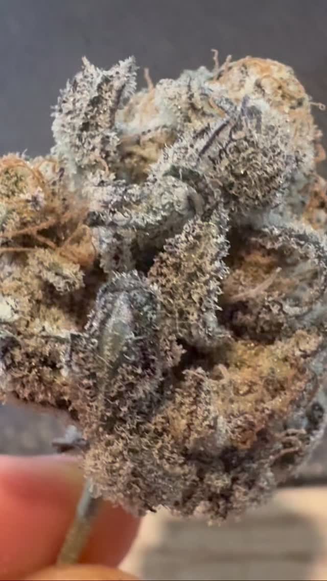 Instagram post from growcast. This post is in position 3.